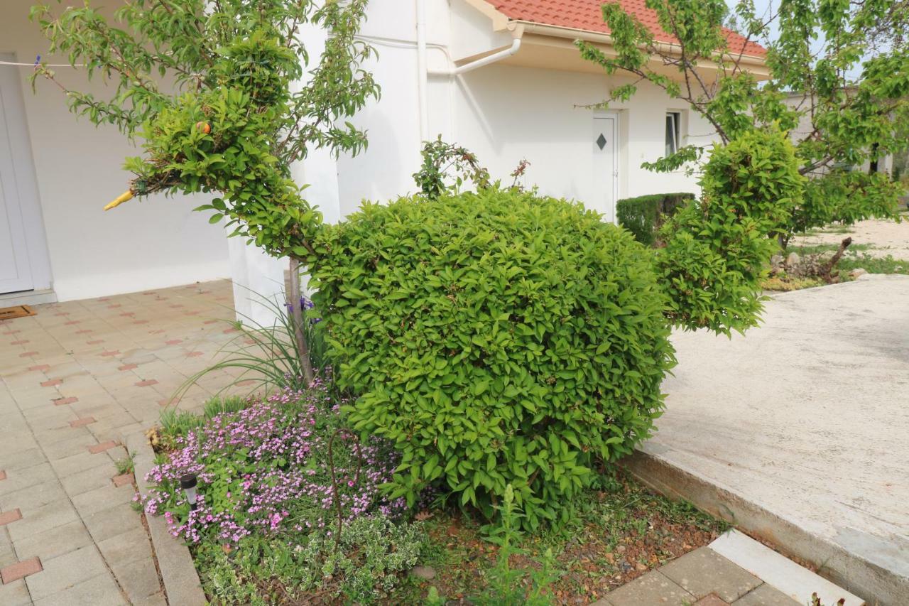 Apartman La Maison Zadar Exterior foto
